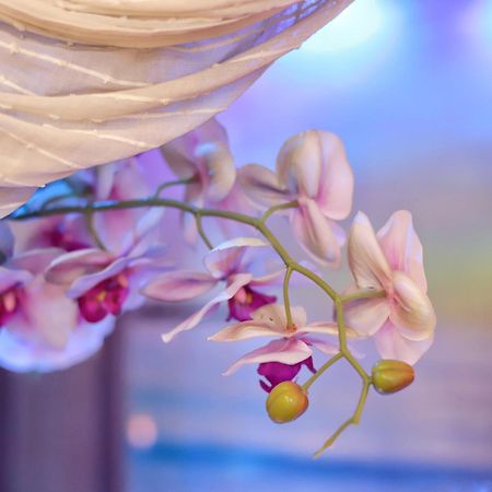 باري Dream & Relax Villa Fiore المظهر الخارجي الصورة