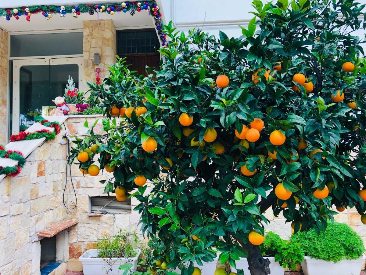 باري Dream & Relax Villa Fiore المظهر الخارجي الصورة
